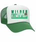Wilder Elementary Stripes - HAT