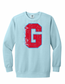 Big G - Distressed - Sweatshirt
