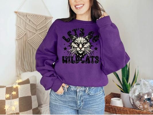 Let's Go Wildcats