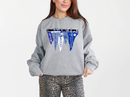 Wildcats Pennant Collage